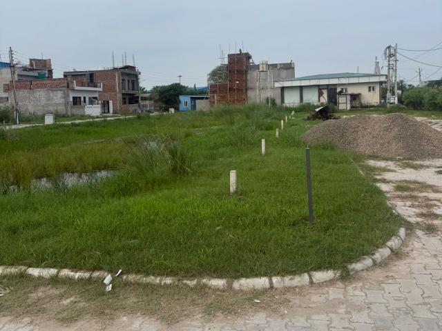 Sector 114, Mohali City 1000 Sq. Ft. Plot in Sector 114 Mohali Listing ID: #10001