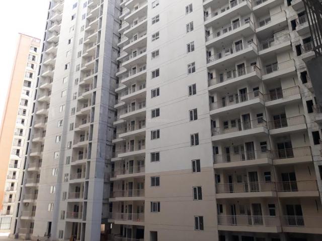 Sector 143 3 BHK Apartment For Sale Noida