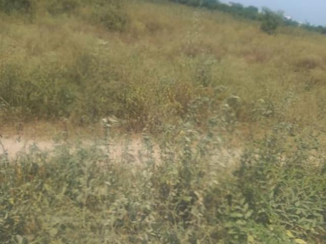 Sector 15, Sonipat East 201 Sq. Ft. Plot in Sector 15 Sonipat Listing ID: #10215