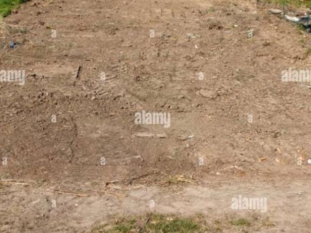 Sector 17, Yamuna Expressway 120 Sq. Mt. Plot in Sector 17 Yamuna Expressway Greater Noida Listing ID: #10303