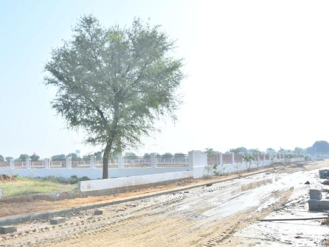 Sector 24, Panchkula City 1320 Sq. Ft. Plot in Sector 24 Panchkula Listing ID: #10254