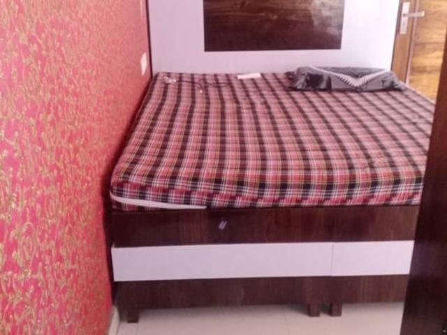 Sector 27 1 RK 200 Sq. Ft. Apartment in Sector 27 Chandigarh Listing ID: #10274
