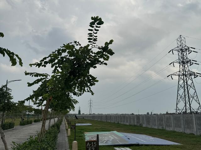 Sector 40, Panipat North 3 Bedroom 1163 Sq. Ft. Builder Floor in Sector 40 Panipat Listing ID: #9991