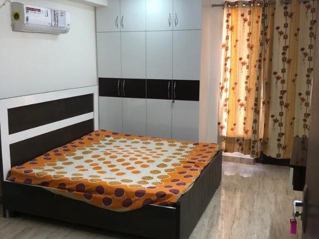 Sector 43 1 RK 450 Sq. Ft. Builder Floor in Sushant Lok I Gurgaon Listing ID: #9754