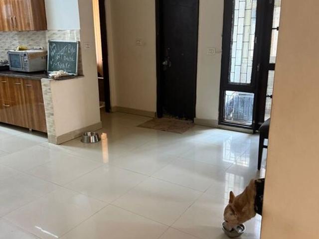 Sector 46 3 Bedroom 1250 Sq. Ft. Apartment in Sector 46 Faridabad Listing ID: #10064