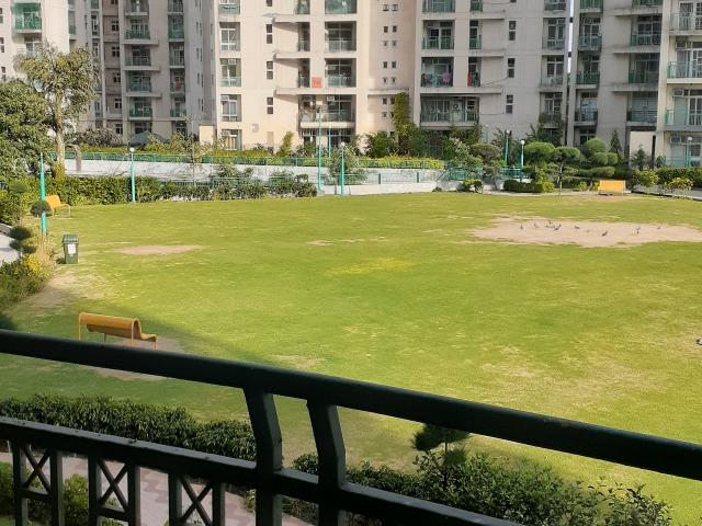 Sector 61, Sonipat South 4 Bedroom 2374 Sq. Ft. Builder Floor in Sector 61 Sonipat Listing ID: #10113