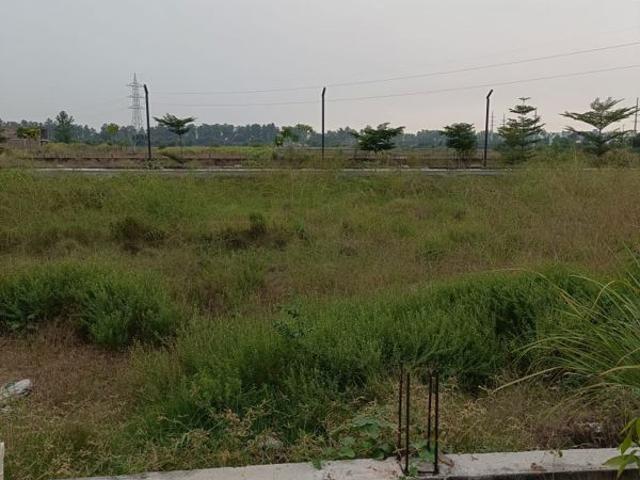 SectoR 6, Jhajjar Central 900 Sq.Ft. Plot in SectoR 6 Jhajjar Listing ID: #10225