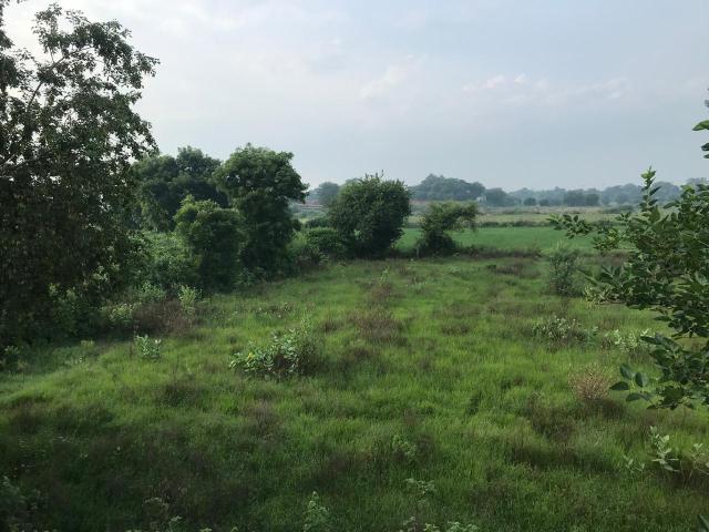 Sector 78, Neharpar Phase 2 108 Sq. Yd. Plot in Sector 78 Faridabad Listing ID: #10311