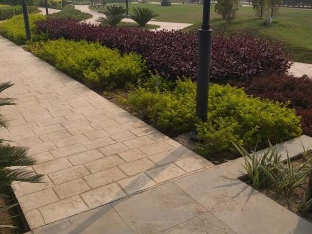 Sector 80, Neharpar Phase 2 204 Sq. Yd. Plot in Sector 80 Faridabad Listing ID: #10318