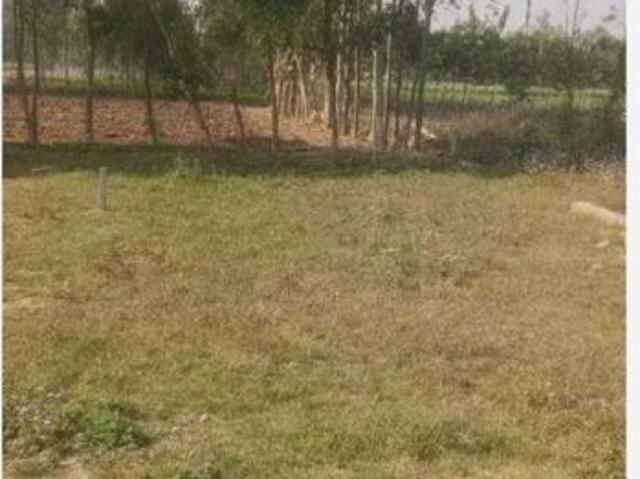 Sector 85, Neharpar Phase 1 326 Sq. Ft. Plot in Sector 85 Faridabad Listing ID: #10364