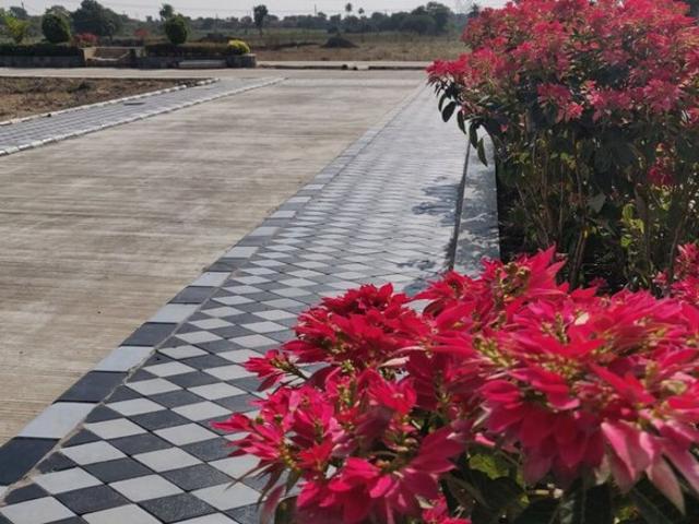Sector 89, Mohali City 3156 Sq. Ft. Plot in Sector 89 Mohali Listing ID: #10298