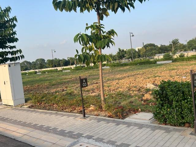 Sector 89, Neharpar Phase 1 141 Sq. Yd. Plot in Sector 89 Faridabad Listing ID: #10280