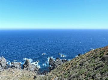 Sector Costa Dorada