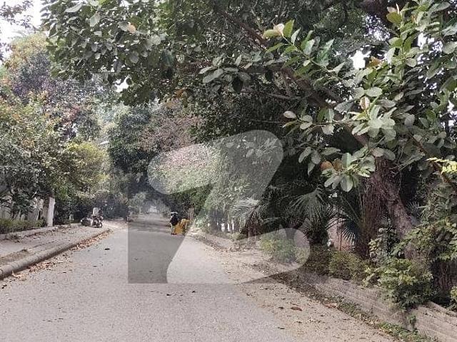 Sector G. 6/3 Top Location On Embassy Road Street Size 70*210 Direct Deal with owner