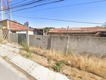 SECTOR EL BELLOTO