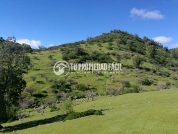 SECTOR EL PARRÓN, CERRO EL QUILLAY, RUTA J 680