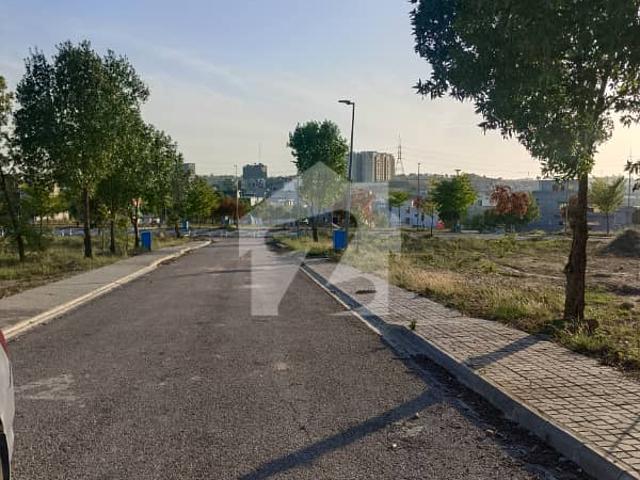 Sector f, street 10, one kanal plot for sale, level, possession, dha 5