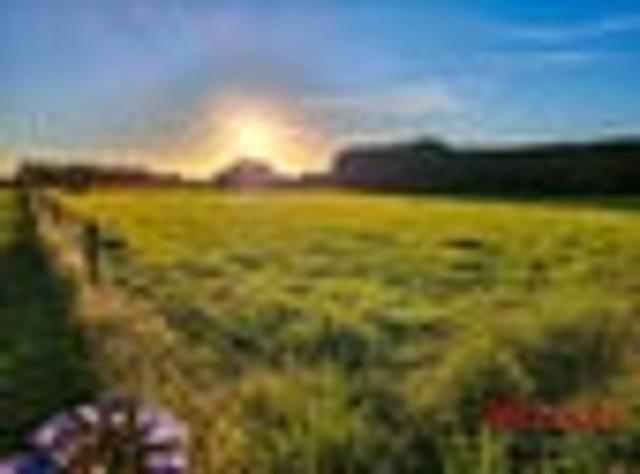 Secure Your Piece of Countryside with No Covenants