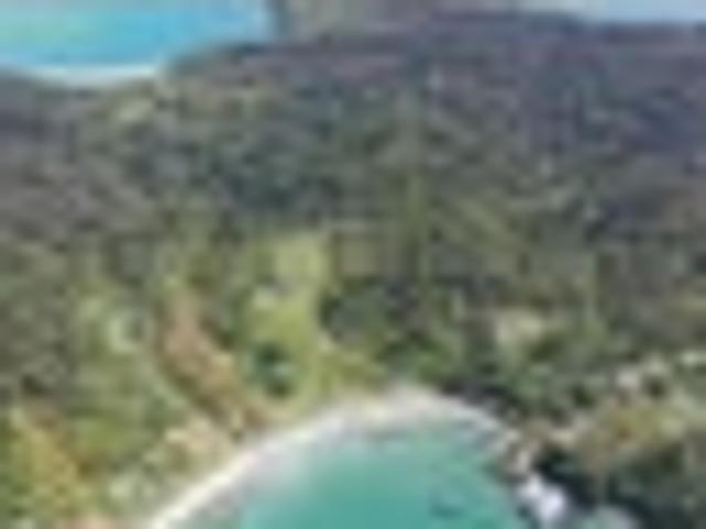 Secluded Waterfront Section, Stewart Island!