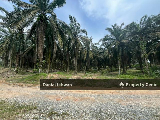 Sedenak Palm Oil Land 20 Acre Besides PLUS EXPRESSWAY For Sale