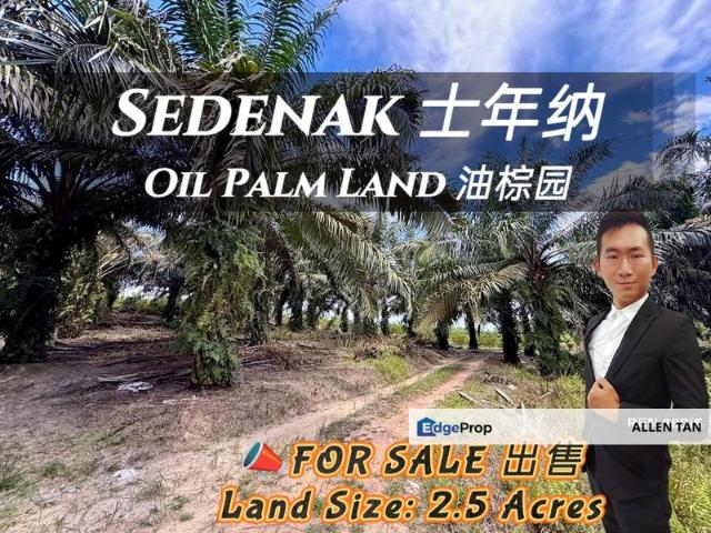 Sedenak