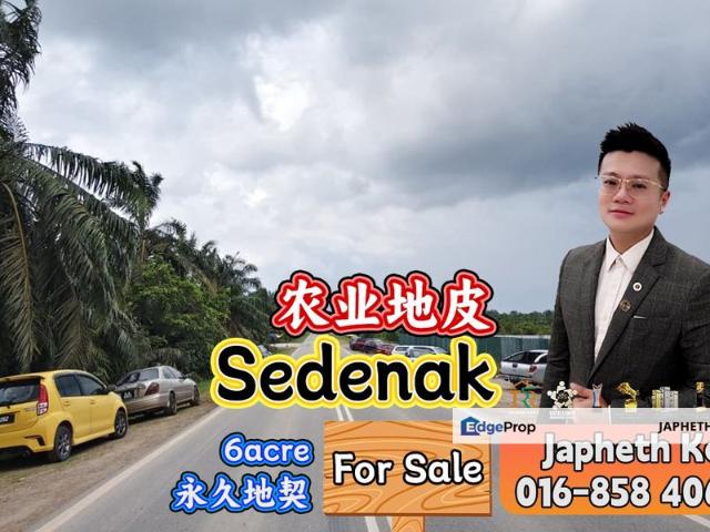 Sedenak