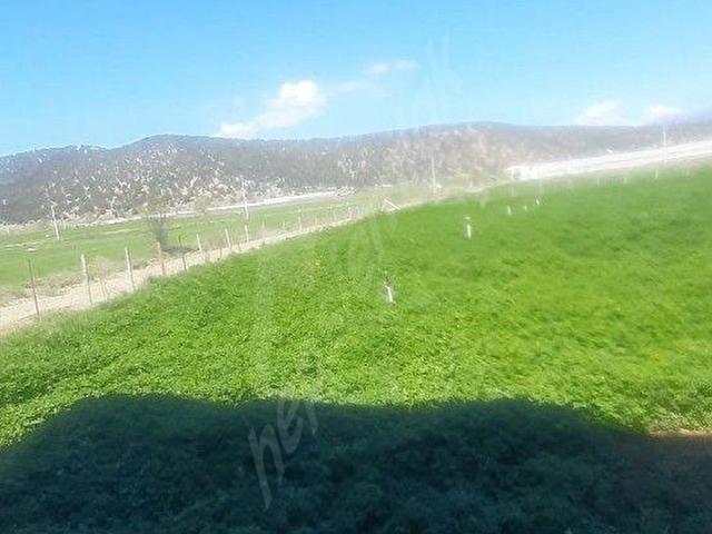 Sedikemer Doğanlar'da 8705 m2