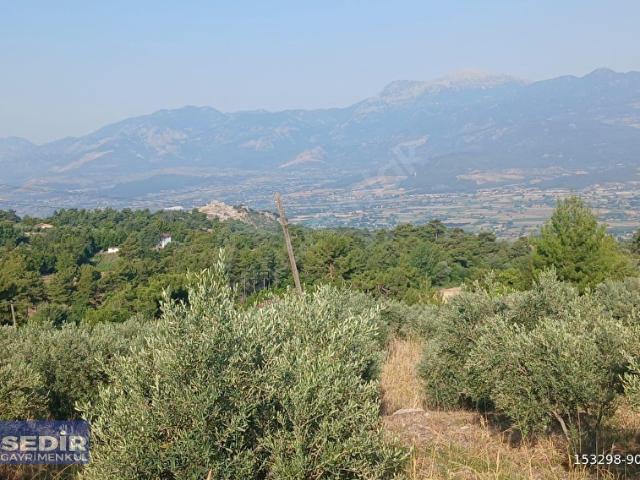 Sedir'den Yaka mh. 4.800 m2 Manzara'lı Satılık Parsel