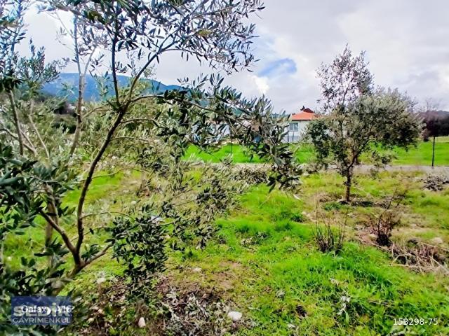Sedir'den Yaka köyde 1.135 m2 imarlı satılık parsel