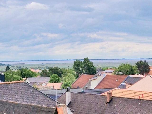 SEEBLICK LOFT TERRASSE POOL. NEUSIEDLER SEE