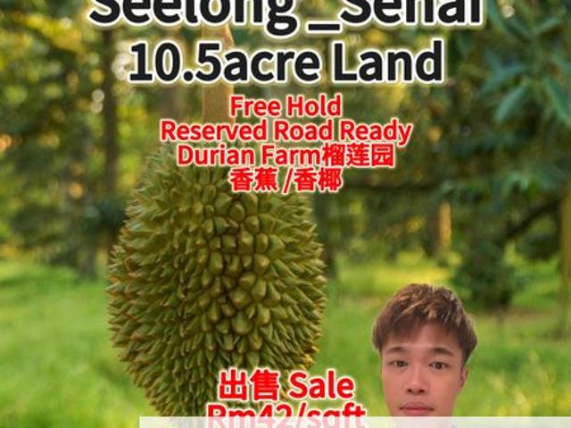 Seelong