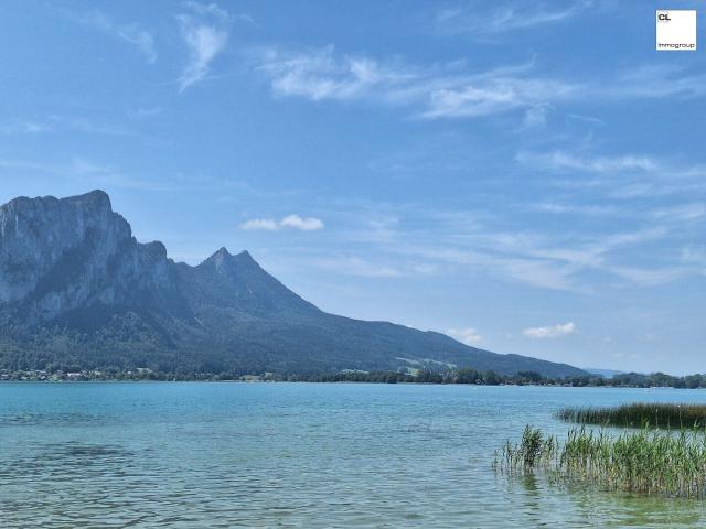 SEEN`s WERT! Badeplatz am Mondsee und Zweitwohnsitz