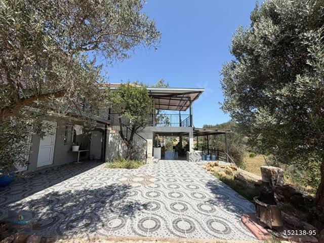 SEFERİHİSAR ORHANLI KÖYÜ 12554 m2 SATILIK ZEYTİNLİK
