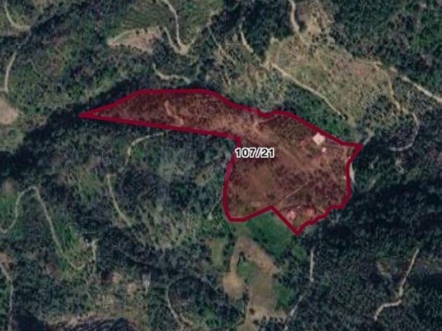 SEFERİHİSAR ÇAMTEPE DE SATILIK 6.654,64 m ZEYTİNLİK HİSSESİ YATIRIM FIRSATI