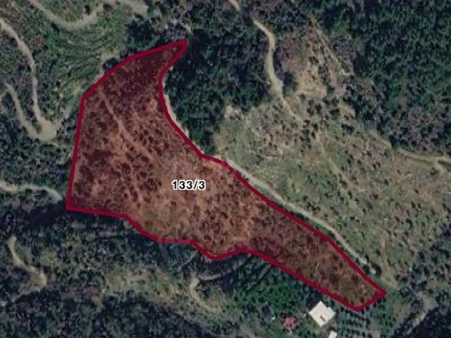 SEFERİHİSAR ÇAMTEPEDE SATILIK 2.866 m ZEYTİNLİK HİSSESİ YATIRIM FIRSATI