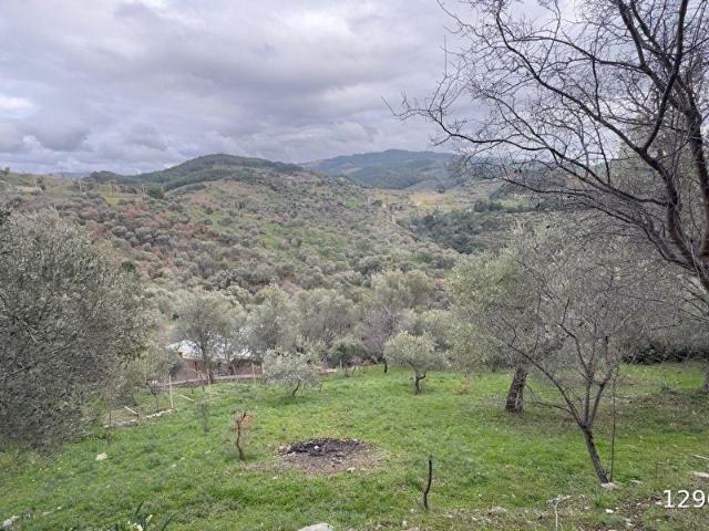 SEFERİHİSAR GÖDENCEDE YOLA CEPHELİ MANZARALI 580,30 m İMARLI ARSA