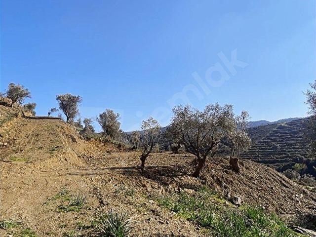 SEFERİHİSAR TURABİYE MAH 224 m2 HOBİ BAHÇESİ