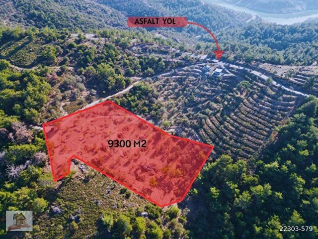 SEFERİHİSAR ULAMIŞ'TA MERKEZE YAKIN KUPON TARLA