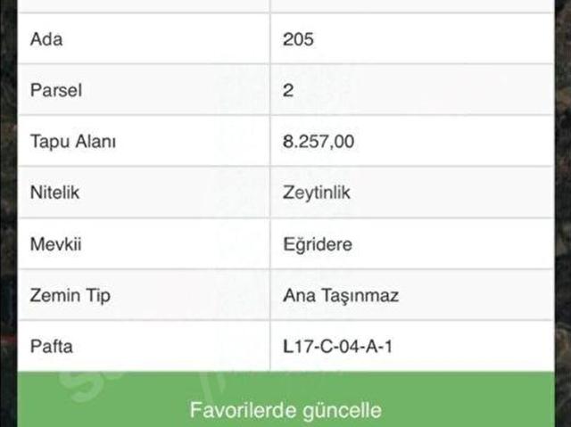 SEFERİHİSAR'DA BARAJ GÖLÜ YAKININDA YATIRIMLIK ZEYTİNLİK TARLA
