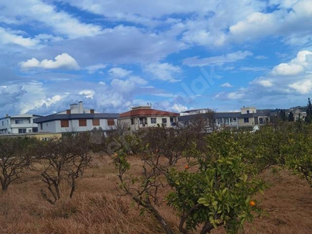 Seferihisar Tepecik Mah.Satılık 290 m2 Hobi Bahçesi