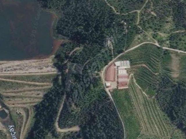 Seferihisar Turabiye Mah 2.828 m2 Satılık zeytinlik