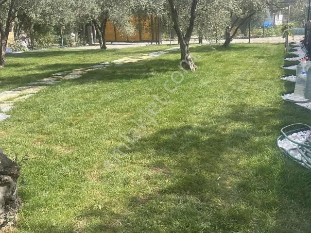 Seferihisar Düzce Köyünde Satılık 2+1 Ev