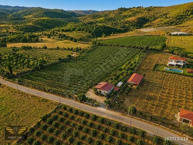 Seferihisar Kavakderede Tapulu Bağ Ev ve Hazır Üretim Alanı