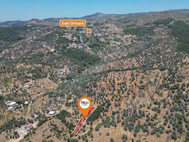 Seferihisar Orhanlı'da MenderesÜrkmez Asfaltı 300M True Estate
