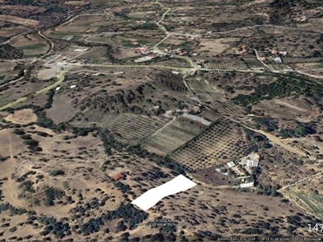 Seferihisar Orhanlı'da Satılık 2.242m Zeytin Ağaçlı Tarla