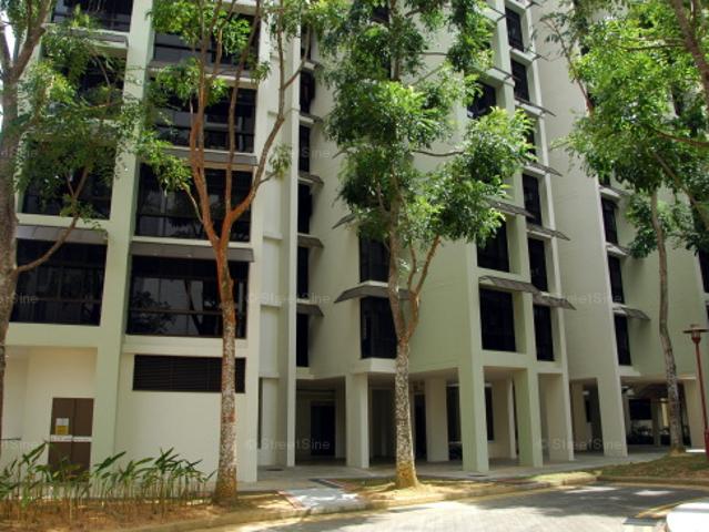 Segar Gardens Bukit Panjang, HDB Executive