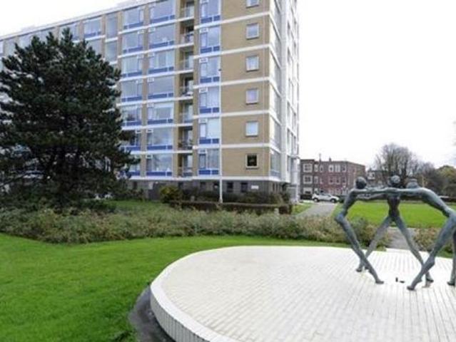 Segbroeklaan, 2565DL, Den Haag, Zuid Holland 2565DL