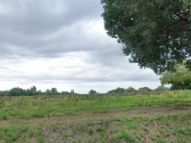 Ségoufielle Vente Terrain 32