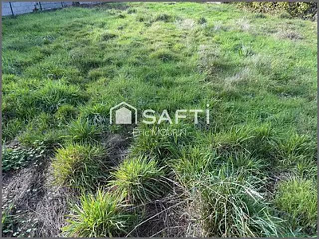 Segré en Anjou Bleu 49500 Achat / Vente terrain