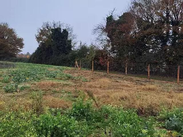 Segré en Anjou Bleu 49500 Programme neuf terrain neuf à vendre
